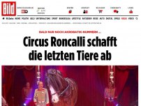 Bild zum Artikel: *** BILDplus Inhalt *** Theater-Circus! - Roncalli schafft die letzten Tiere ab