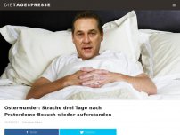 Bild zum Artikel: Osterwunder: Strache drei Tage nach Praterdome-Besuch wieder auferstanden