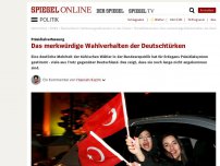 Bild zum Artikel: Referendum zur Präsidialverfassung: Das merkwürdige Wahlverhalten der Deutschtürken