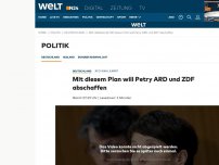 Bild zum Artikel: AfD-Wahlkampf: Mit diesem Plan will Petry ARD und ZDF abschaffen