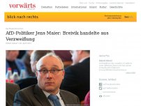 Bild zum Artikel: AfD-Politiker Jens Maier: Breivik handelte aus Verzweiflung