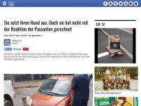 Bild zum Artikel: Sie setzt ihren Hund aus. Doch sie hat nicht mit der Reaktion der Passanten gerechnet