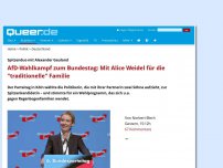 Bild zum Artikel: AfD-Wahlkampf zum Bundestag: Mit Alice Weidel für die 'traditionelle' Familie