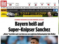 Bild zum Artikel: Hammer-Transfer? - Bayern heiß auf  ​Super-Knipser Sanchez