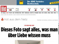 Bild zum Artikel: Ich bin bei dir! - Dieses Foto sagt alles, was man über Liebe wissen muss