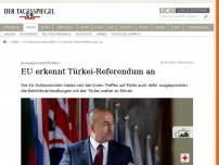Bild zum Artikel: EU erkennt Türkei-Referendum an