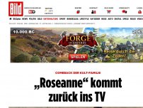 Bild zum Artikel: Comeback der Kult-Familie - „Roseanne“ kommt zurück ins TV