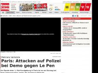 Bild zum Artikel: Wüste Attacken auf POlizei bei Demo gegen Le Pen