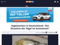 Bild zum Artikel: Vogelsterben in Deutschland: 'Die Situation der Vögel ist dramatisch'