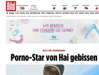 Bild zum Artikel: Klaffende Wunde! - Porno-Star bei Werbedreh von Hai gebissen