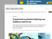 Bild zum Artikel: Tierschutz: Frankreich verbietet Haltung von Delfinen und Orcas