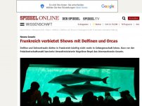 Bild zum Artikel: Neues Gesetz: Frankreich verbietet Shows mit Delfinen und Orcas