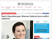 Bild zum Artikel: Nach Chemotherapie: Shannen Doherty kann endlich aufatmen