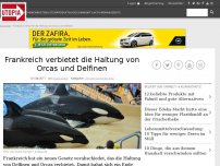 Bild zum Artikel: Frankreich verbietet die Haltung von Orcas und Delfinen