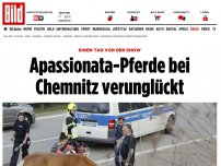 Bild zum Artikel: Einen Tag vor der Show - Apassionata-Pferde bei Chemnitz verunglückt
