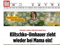 Bild zum Artikel: Joshua verlässt seine Villa - Klitschko-Umhauer zieht wieder bei Mama ein!