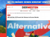 Bild zum Artikel: AfD holt über 20 Prozent der Stimmen im Essener Norden