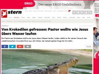 Bild zum Artikel: Simbabwe: Von Krokodilen gefressen: Pastor wollte wie Jesus übers Wasser laufen