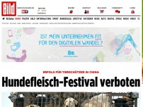 Bild zum Artikel: Erfolg für Tierschützer - Hundefleisch-Festival verboten