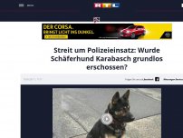 Bild zum Artikel: Streit um Polizeieinsatz: Wurde Schäferhund Karabasch grundlos erschossen?