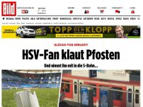 Bild zum Artikel: Glücks-Tor zerlegt! - HSV-Fan klaut Pfosten