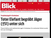 Bild zum Artikel: Trophäenjagd in Simbabwe: Toter Elefant vergräbt Jäger (†51) unter sich