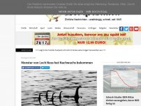 Bild zum Artikel: Monster von Loch Ness hat Nachwuchs bekommen