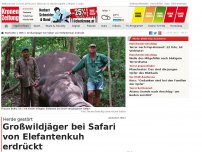 Bild zum Artikel: Großwildjäger bei Safari von Elefantenkuh erdrückt