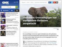 Bild zum Artikel: Simbabwe: Grosswildjäger von sterbendem Elefanten zerquetscht