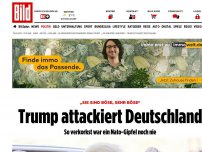 Bild zum Artikel: „Sie sind böse, sehr böse“ - Trump attackiert Deutschland