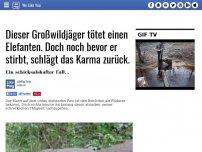 Bild zum Artikel: Dieser Großwildjäger tötet einen Elefanten. Doch noch bevor er stirbt, schlägt das Karma zurück.