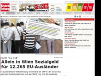 Bild zum Artikel: Allein in Wien Sozialgeld für 12.265 EU-Ausländer