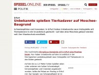 Bild zum Artikel: Erfurt: Unbekannte spießen Tierkadaver auf Moschee-Baugrund