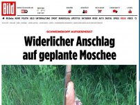 Bild zum Artikel: Schweinekopf aufgespießt - Widerlicher Anschlag auf geplante Moschee