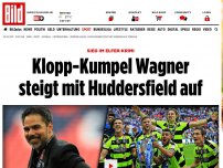 Bild zum Artikel: Sieg im Elfer-Krimi - Klopp-Kumpel Wagner steigt mit Huddersfield auf