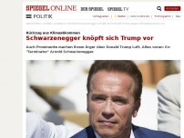 Bild zum Artikel: Rückzug aus Klimaabkommen: Schwarzenegger knöpft sich Trump vor