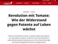 Bild zum Artikel: Revolution mit Tomate: Wie der Widerstand gegen Patente auf Leben wächst