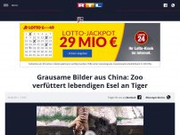 Bild zum Artikel: Grausame Bilder aus China: Zoo verfüttert lebendigen Esel an Tiger