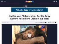 Bild zum Artikel: Im Zoo von Philadelphia: Gorilla-Baby kommt mit einem Lächeln zur Welt
