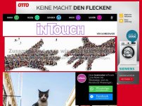 Bild zum Artikel: +Acht bis zehn Kinder quälen Katze Flohi mit Stöcken und Steinen zu Tode+