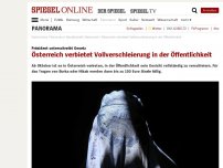 Bild zum Artikel: Präsident unterschreibt Gesetz: Österreich verbietet Vollverschleierung in der Öffentlichkeit
