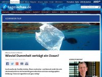 Bild zum Artikel: Kommentar: Wieviel Dummheit verträgt ein Ozean?