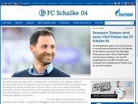 Bild zum Artikel: Domenico Tedesco wird neuer Chef-Trainer