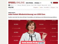 Bild zum Artikel: Wahlprogramm: Linke fordert Mindestsicherung von 1050 Euro