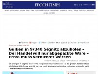 Bild zum Artikel: Gurken in 97340 Segnitz abzuholen – Der Handel will nur abgepackte Ware – Ernte muss vernichtet werden