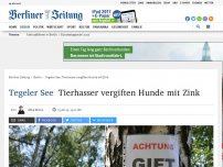 Bild zum Artikel: Tegeler See: Tierhasser vergiften Hunde mit Zink