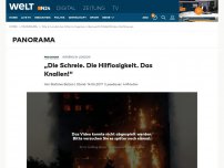 Bild zum Artikel: Flammeninferno in London: Ganzes Hochhaus brennt - Zeugen hören Schreie aus Gebäude