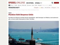 Bild zum Artikel: Türkei: Plankton färbt Bosporus türkis