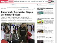 Bild zum Artikel: Neuer Trend: Immer mehr Asylwerber fliegen auf Heimat-Besuch