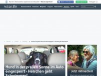 Bild zum Artikel: Hund in der prallen Sonne im Auto eingesperrt - Herrchen geht Schwimmen!